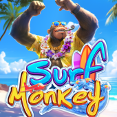 Surf Monkey