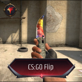 CS:GO Flip